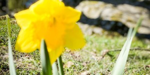Beitragsbild des Blogbeitrags Unser Osterfest in Bildern