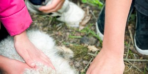 Beitragsbild des Blogbeitrags Alles kehrt zurück, alles fängt von vorne an