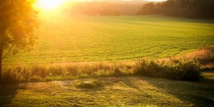 Beitragsbild des Blogbeitrags Jetzt sind Sommerferien!