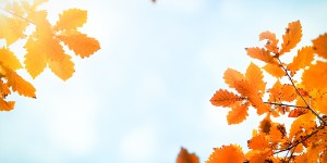 Beitragsbild des Blogbeitrags Hallo September!