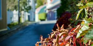 Beitragsbild des Blogbeitrags Herbst in der kleinen Stadt