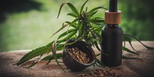 Beitragsbild des Blogbeitrags Was ist eigentlich CBD (Cannabidiol)? 