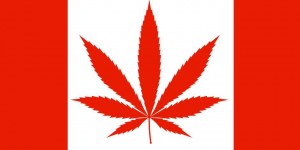 Beitragsbild des Blogbeitrags Cannabis in Kanada: alles zur Gesetzeslage 