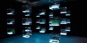 Beitragsbild des Blogbeitrags In Keplers Gardens – Das Ars Electronica Festival 2020