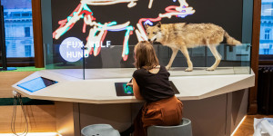 Beitragsbild des Blogbeitrags Deck 50: Neue Plattform für Wissenschaftskommunikation im Naturhistorischen Museum Wien 