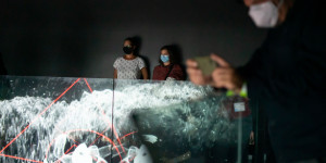 Beitragsbild des Blogbeitrags [ˈdaːzaɪn] – Audiovisuelle Performance 