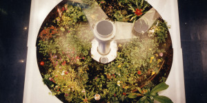 Beitragsbild des Blogbeitrags Throwback: Telegarden