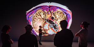 Beitragsbild des Blogbeitrags Renommierter Innovationspreis für Futurelab-Projekt