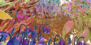 Beitragsbild des Blogbeitrags Pollinator Pathmaker – lebendige Kunst für Insekten