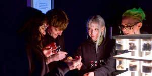 Beitragsbild des Blogbeitrags Ars Electronica: eine europäische Plattform für digitalen Humanismus