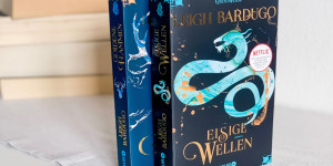 Beitragsbild des Blogbeitrags Rezension – Eisige Wellen