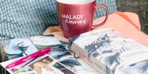Beitragsbild des Blogbeitrags Rezension – MALADY Wayward