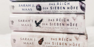 Beitragsbild des Blogbeitrags Rezension – Das Reich der sieben Höfe – Sterne und Schwerter (Band 3)