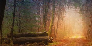 Beitragsbild des Blogbeitrags Ein Leben mit Corona