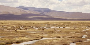 Beitragsbild des Blogbeitrags Chivay – der Roadtrip in Peru startet 