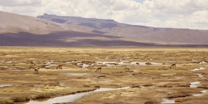 Beitragsbild des Blogbeitrags Chivay – der Roadtrip in Peru startet