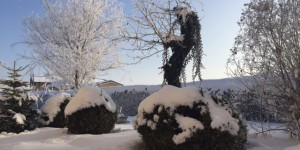 Beitragsbild des Blogbeitrags Freut euch über die Kälte, Gartenfreunde! 