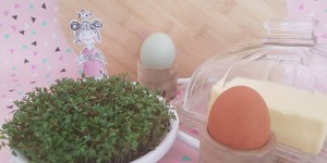 Beitragsbild des Blogbeitrags ❤ Tipps um Kresse sprießen zu lassen