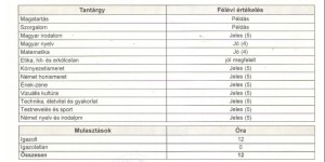 Beitragsbild des Blogbeitrags Zeugnisse meiner Kinder aus der deutschen Grundschule mit Auszeichnung / mit sehr gutem Erfolg