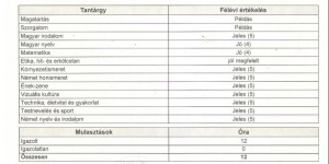 Beitragsbild des Blogbeitrags Zeugnisse meiner Kinder aus der deutschen Grundschule mit Auszeichnung / mit sehr gutem Erfolg 