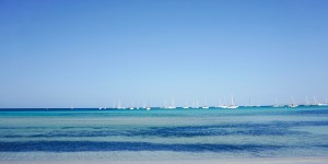 Beitragsbild des Blogbeitrags Mallorca – Urlaub auf der wunderschönen Baleareninsel 