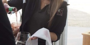 Beitragsbild des Blogbeitrags Die Niagara-Fälle: Wein & #Genussreisetipps nahe Toronto, Ontario