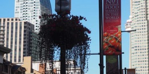 Beitragsbild des Blogbeitrags Toronto Kulinarisch Erleben: St. Lawrence Market, #KensingtonKrawl & Evergreen Brickworks