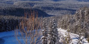 Beitragsbild des Blogbeitrags Banff & die Rocky Mountains zur Winterszeit: Sonnen-Skilauf & weitere Reise-Highlights im Westen Kanadas.