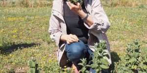 Beitragsbild des Blogbeitrags Wilde Costa Brava : Die besten #Genussreisetipps rund um Kräuter, Käse, Wein, Olivenvöl & mehr.