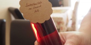 Beitragsbild des Blogbeitrags Privat zu Gast in Niederösterreich: Das Gartenparadies der Familie Schabel-Zehetner im Mostviertel.