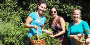 Beitragsbild des Blogbeitrags „Slocally.com“: Von Musen & Müßen einer kreativen Auszeit in Slowenien