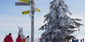 Beitragsbild des Blogbeitrags Skifahren in Serbien: Auf nach Kopaonik! 