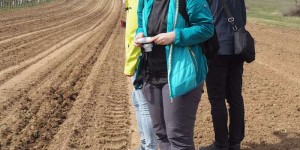 Beitragsbild des Blogbeitrags Der früheste Frühlingsbeginn Österreichs ist am Neusiedler See – und dank Neusiedler See Card voller Vorteile.