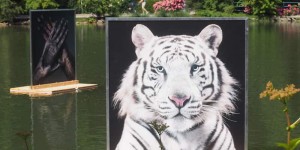 Beitragsbild des Blogbeitrags Fotofestival #LaGacilly in Baden bei Wien: Noch bis 30. September 2018 eine Weltklasse Fotoausstellung in Baden besuchen!