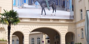 Beitragsbild des Blogbeitrags Ausflug nach Baden bei Wien zum renommierten Fotofestival La Gacilly „Hymne an die Erde“