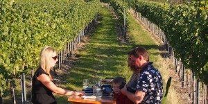 Beitragsbild des Blogbeitrags (Wein)Geschichten bei „Urlaub am Winzerhof“