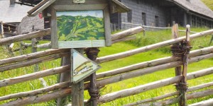 Beitragsbild des Blogbeitrags Reisen mit dem #Umweltzeichen: Naturhotel Bauernhofer im Steirischen Almenland.