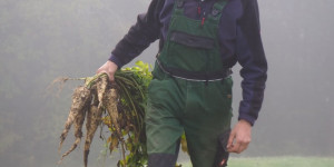 Beitragsbild des Blogbeitrags Mit Leib‘ & Seele: Vier Bio-Bauern aus dem Mühlviertel im Porträt.