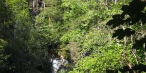 Beitragsbild des Blogbeitrags „Alles im Fluss“: Buche Dein Achtsamkeits-Retreat auf Gut Trögern