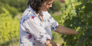 Beitragsbild des Blogbeitrags Es wird SAFTIG: (M)Ein brandneues Magazin zu Wein & Reisen erscheint!