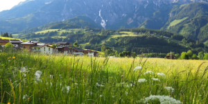 Beitragsbild des Blogbeitrags Saalfelden-Leogang: Nachhaltige Reisetipps aus der 3. Umweltzeichen Destination Österreichs.