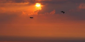 Beitragsbild des Blogbeitrags (M)Eine Liebeserklärung an die Nordsee: Juist, “I Juist Love You!”