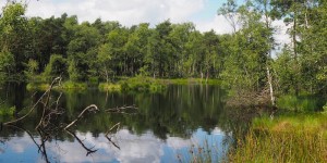 Beitragsbild des Blogbeitrags #EnjoyGermanNature: Lüneburger Heide zur Blütezeit im Sommer