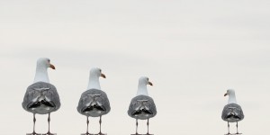 Beitragsbild des Blogbeitrags Bin ich mir selber treu?