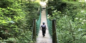 Beitragsbild des Blogbeitrags Spielplatz-Check #24 Walderlebnispfad Möggers