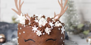 Beitragsbild des Blogbeitrags Weihnachtstorte … (vegan)