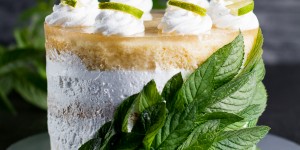 Beitragsbild des Blogbeitrags Hugotorte … (vegan) 