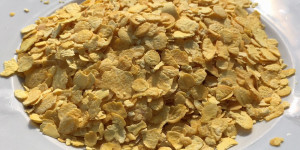Beitragsbild des Blogbeitrags Wie verwende und koche ich Lupinenprodukte?