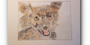 Beitragsbild des Blogbeitrags ZEICHNEN 5.20 – Bella