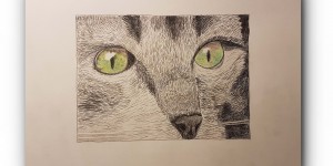 Beitragsbild des Blogbeitrags ZEICHNEN 6.20 – Katze